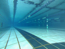 水のきれいなプール